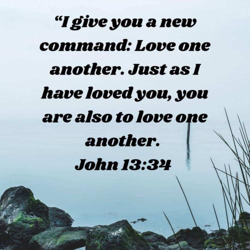 7f0993dd-d81c-4dd8-8be4-ce2ce8d7a20a