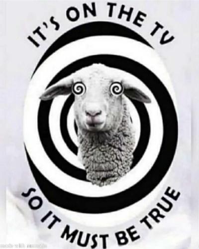 bb0d35e0-ded6-44f3-8426-54af46cd3bd1