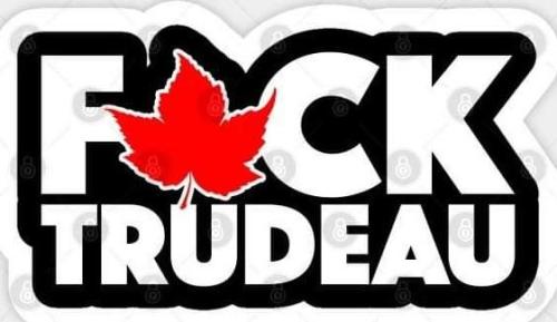 1e2fd93a-d13e-4ddc-930c-e53c72f6672d