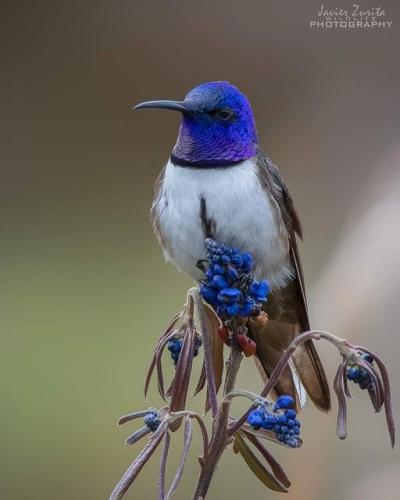 278020200_320562623398735_3494938404196791259_n