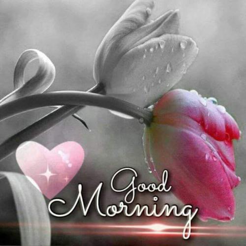 519fffa2-5151-4e4c-b3c7-5abf96724c6f