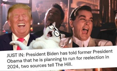 biden running for relection