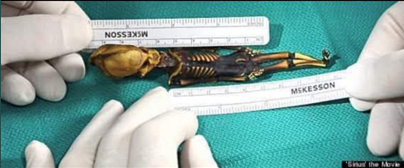 Screen Shot 2021-07-27 at 12.49.51 PM