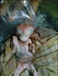 Screen Shot 2021-07-27 at 12.50.03 PM