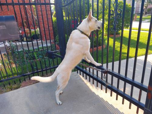 b340b205-e6b3-4d7d-8500-5a241f701dca