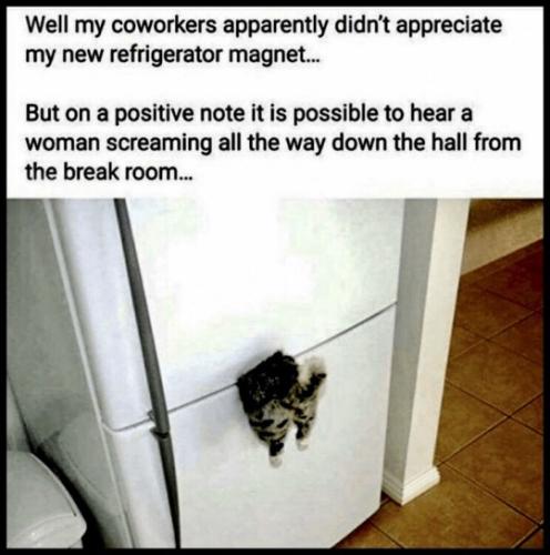 tumblr_4f247386db11e5359e5da42384e43979_97e26608_540