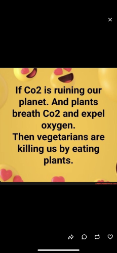 13:09:21 GMT-0400 (EDT).image