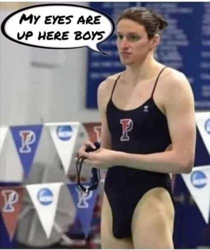 f4188630-c3f3-45b8-b8ee-b07ea934287a