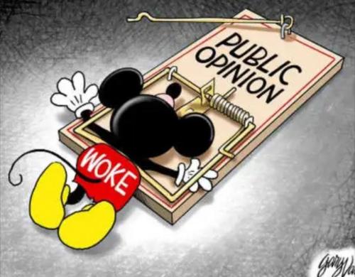 8ba76f17-1ce4-4905-8631-919263203002