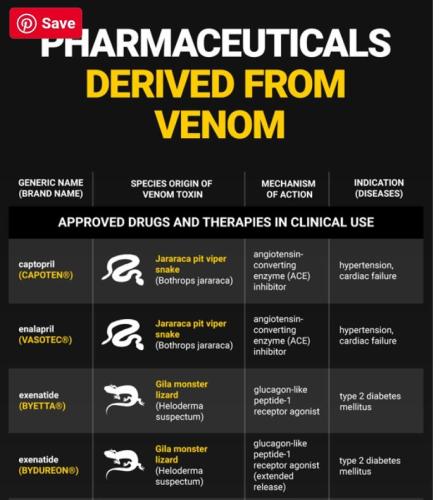 Snake Venom Pharmaceuticals