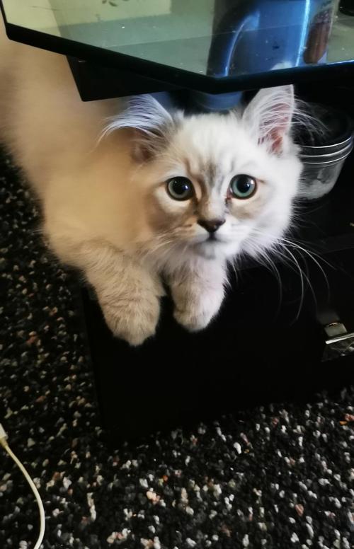 a0dda0b2-2574-485a-8ed9-58109c6bee13