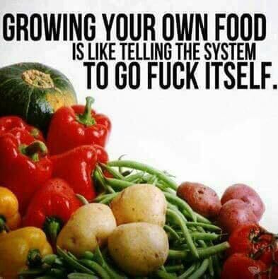 277757586_389376123008115_7406926154951328651_n