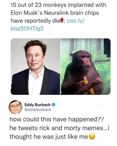 photo_2022-04-20_21-17-20