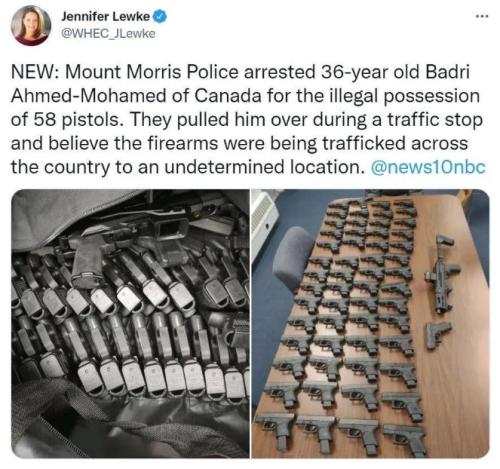 illegal immigration275