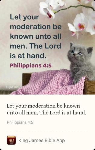 2a8f9ffa-b684-4aaf-83f7-ca90cf777d10