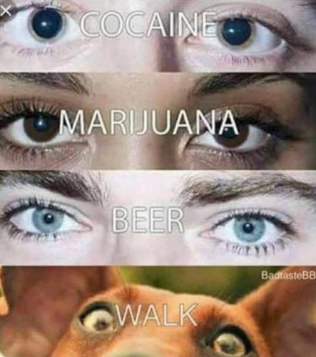 223321D6-078C-4385-AE8D-3E87BA01A30E