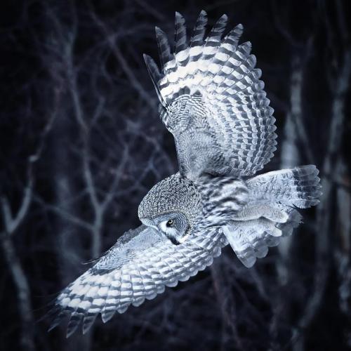 tumblr_a544c86f9beb2cb8448185d6d19c25d6_c3ca1e02_2048