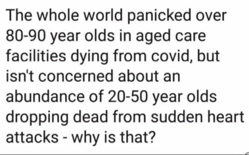 8ccfd367b06d3fdb