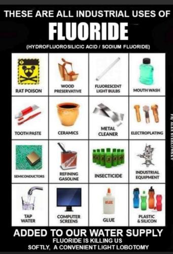 fc8e3978-afc8-447f-968d-807b78c02e3c