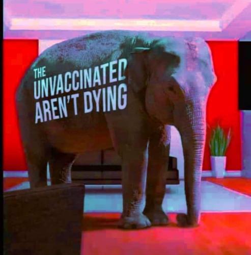 6d096805-3421-4b0f-83a9-a5f25a1e95e5