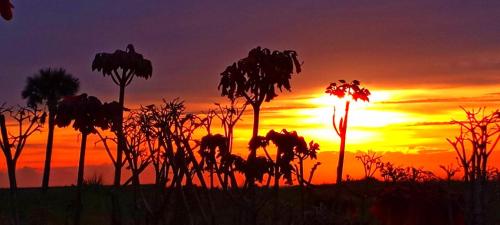 bb338204-f61f-4ba8-850a-fa3f1e195d73