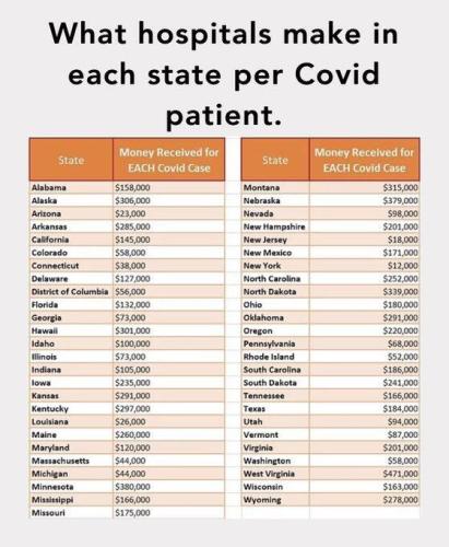 Hospital profits per covid patient