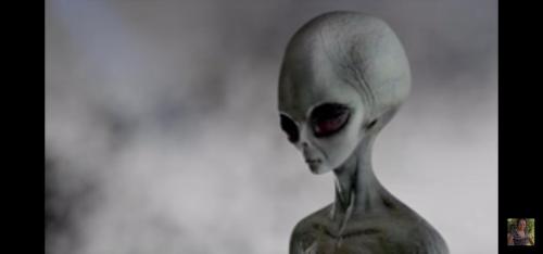 c506e0dd-ccb0-4963-85c7-e1c8ae6bdd0d