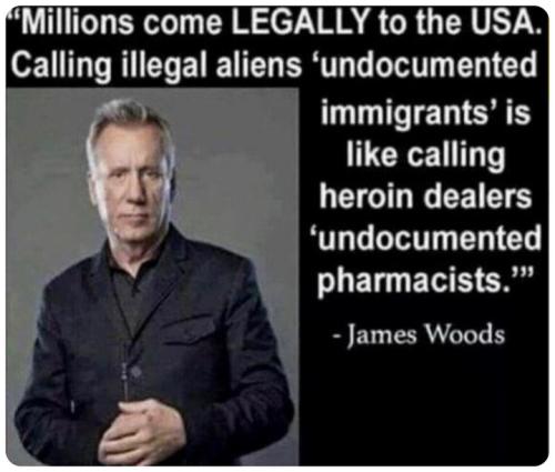 undocumented pharmacists - james woods