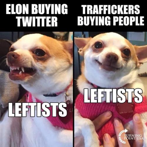 069934F4-E28C-4031-953F-2F408466C3EA