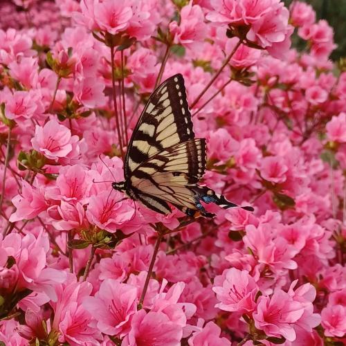 7fb49b9d-730e-4a34-a32d-a0d0c996ad68