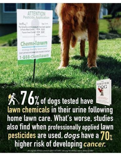 photo_2022-04-17_21-02-19