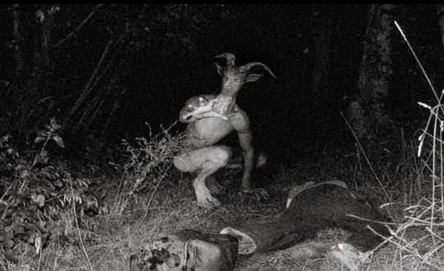 Screen Shot 2021-07-27 at 12.47.18 PM