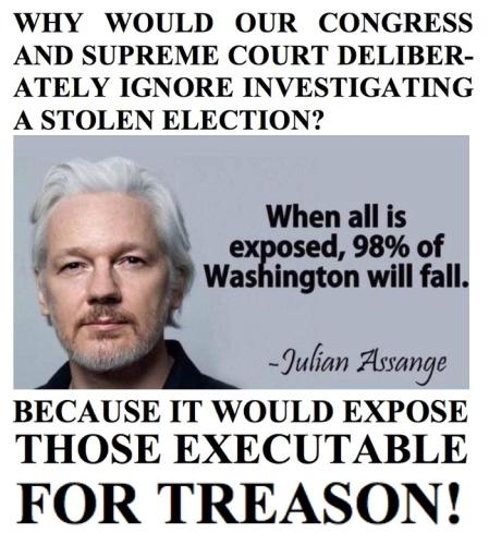 Stolen Election is Treason - Assange