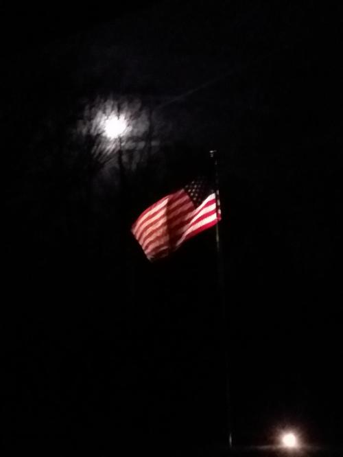 9e482914-12a5-4f9b-8704-2a516f63bc6e