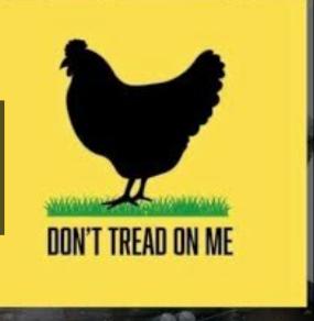 9cb883de-300a-4dc7-83b9-9f5753165ff2