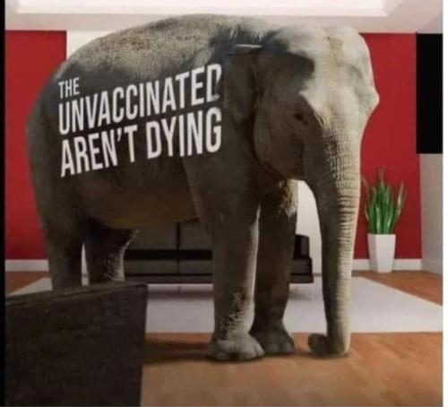 58dc3662-3fb5-41e0-9ef5-2cbef3b97f58