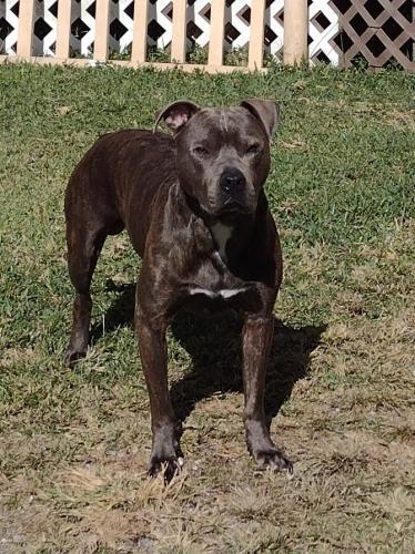 d8a42e5c-f656-4cae-9bc0-2d67f3136632