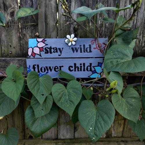 27e514db-5005-4a2b-9ec1-2327cca2693d