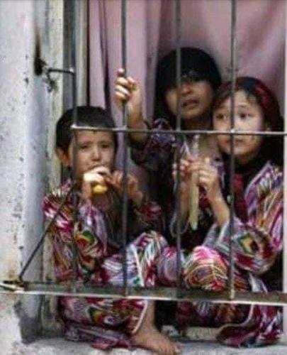 d8826ad1-d337-4d9b-b6c5-1af1f1a31421