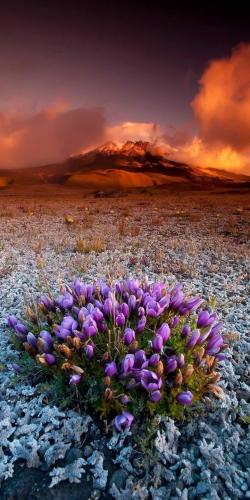 22:11:20 GMT-0500 (CDT)