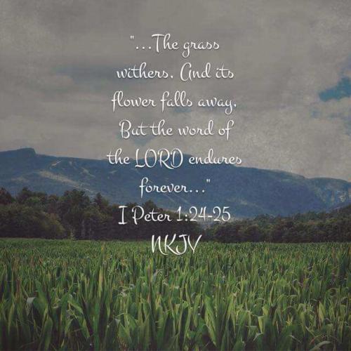 b1ab84cb-90af-4775-8603-0e553c979e7d