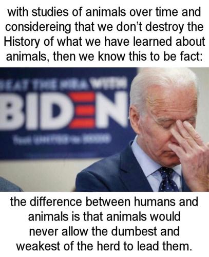 biden924