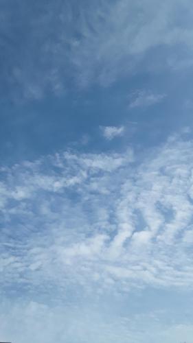 72b558a1-d7f3-4005-aac7-e82b61e069e7