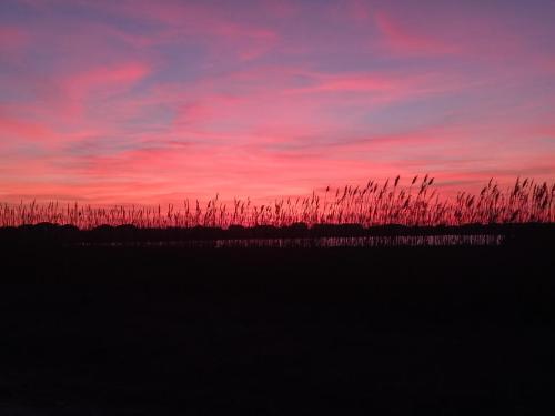 79789fde-1e1d-456f-9939-9bcec3c47573