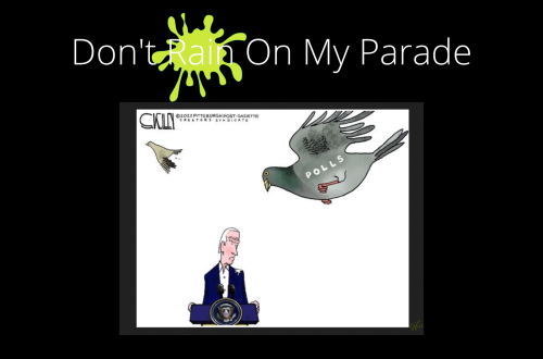 Biden_DontPoopOnMyParade