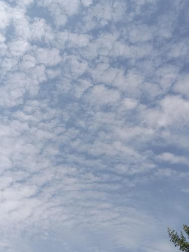 a5c73b64-95f6-4d0a-ba66-6afafec368cf