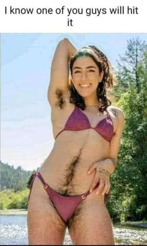 33056907-efc8-448b-888c-46506dd97a79