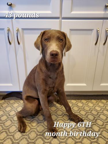 f05d3dc6-37f8-4f52-bc38-44956c2d8f16