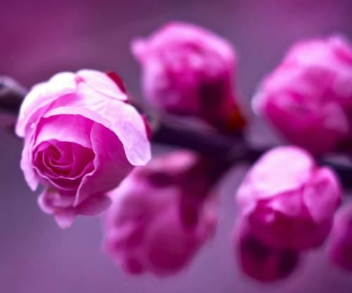 5e30d1b0-5ce7-494d-8a61-870d16a444c8