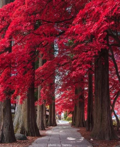 277365113_493263529094790_133446669160262709_n